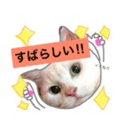 みるく と いっしょ（個別スタンプ：11）