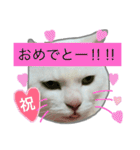 みるく と いっしょ（個別スタンプ：14）