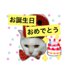 みるく と いっしょ（個別スタンプ：15）