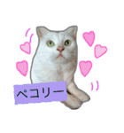 みるく と いっしょ（個別スタンプ：16）