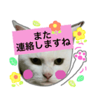 みるく と いっしょ（個別スタンプ：17）
