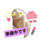 みるく と いっしょ（個別スタンプ：20）