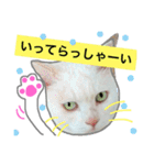 みるく と いっしょ（個別スタンプ：21）
