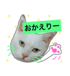 みるく と いっしょ（個別スタンプ：22）