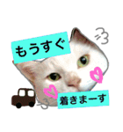 みるく と いっしょ（個別スタンプ：23）