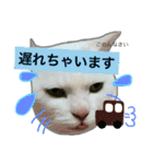 みるく と いっしょ（個別スタンプ：24）