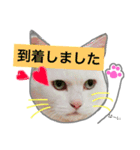 みるく と いっしょ（個別スタンプ：26）
