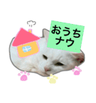 みるく と いっしょ（個別スタンプ：27）