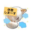 みるく と いっしょ（個別スタンプ：28）
