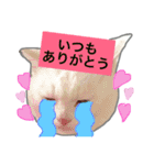 みるく と いっしょ（個別スタンプ：29）