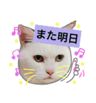 みるく と いっしょ（個別スタンプ：32）