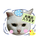みるく と いっしょ（個別スタンプ：33）