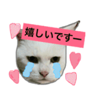みるく と いっしょ（個別スタンプ：34）
