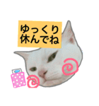 みるく と いっしょ（個別スタンプ：35）