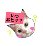 みるく と いっしょ（個別スタンプ：36）