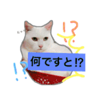 みるく と いっしょ（個別スタンプ：37）
