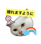 みるく と いっしょ（個別スタンプ：39）