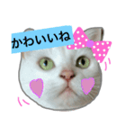 みるく と いっしょ（個別スタンプ：40）