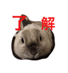 みいのつぶやき（個別スタンプ：5）