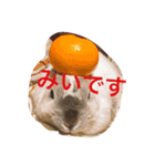 みいのつぶやき（個別スタンプ：7）
