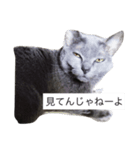 くーーちゃん（個別スタンプ：2）