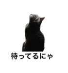 くーーちゃん（個別スタンプ：5）