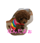 キャスバルくんだよ（個別スタンプ：1）