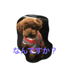 キャスバルくんだよ（個別スタンプ：3）