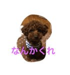 キャスバルくんだよ（個別スタンプ：5）