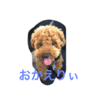 キャスバルくんだよ（個別スタンプ：6）