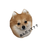 chip＆parl（個別スタンプ：2）
