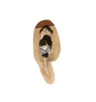 犬のりゅうちゃん（個別スタンプ：10）