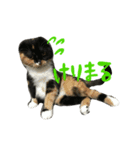 ぽみすた1（個別スタンプ：4）