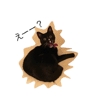 ソックス猫のつぐたん（個別スタンプ：2）