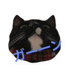 ソックス猫のつぐたん（個別スタンプ：15）