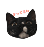 ソックス猫のつぐたん（個別スタンプ：18）