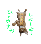 茶トラ猫好き♡さんへ捧ぐヨギくんスタンプ（個別スタンプ：22）