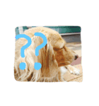 Normal dog's the second stamp！（個別スタンプ：8）