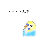 ウロコインコとセキセイ兄さんズ（個別スタンプ：2）