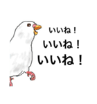 ウロコインコとセキセイ兄さんズ（個別スタンプ：8）
