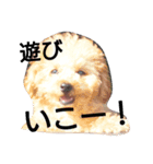 fissa-man（個別スタンプ：6）