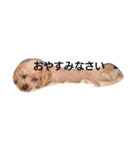 fissa-man（個別スタンプ：8）