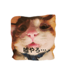 茶白猫の関西弁（個別スタンプ：3）
