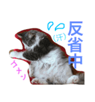 蓮とエルフ（個別スタンプ：1）