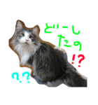 蓮とエルフ（個別スタンプ：9）