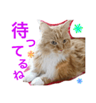 蓮とエルフ（個別スタンプ：10）