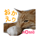 蓮とエルフ（個別スタンプ：16）