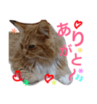 蓮とエルフ（個別スタンプ：22）