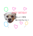 ramu dog（個別スタンプ：8）