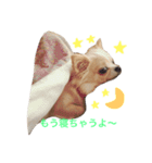 はぴはぴはぴちゃん（個別スタンプ：4）